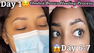 Ombre Brows Healing Process [upl. by Suez]