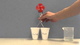 Thermoelectric Effect Demonstration Demonstrator [upl. by Gaskin994]