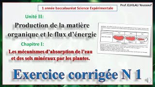 Exercice corrigée N1Mécanismes d’absorption de l’eau et des sels minéraux par les plantes [upl. by Addiel522]