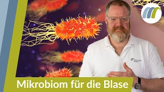 Blasenentzündung vorbeugen  Das Mikrobiom auf Vordermann bringen  Urologie am Ring [upl. by Harbison331]