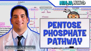 Metabolism  Pentose Phosphate Pathway [upl. by Ikuy]