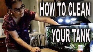 Cleaning the 10 Gallon Tank  Step By Step [upl. by Waylin]