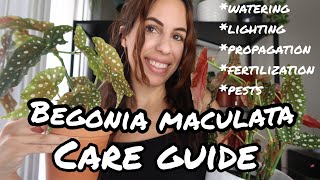 The COMPLETE How to care for Begonia maculata Wightii [upl. by Ariaes]