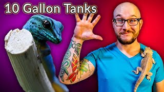 Top 5 Reptiles That Can Live In A Ten Gallon Enclosure FOREVER  Vol 2 [upl. by Maller]