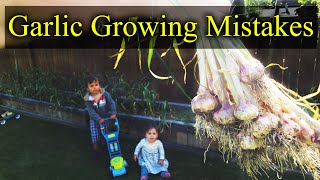 Common Garlic Growing Mistakes  And How To Fix Them [upl. by Ambrose24]