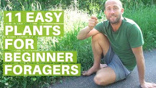 11 Easy Edible Plants for Beginner Foragers Eating Wild Food [upl. by Iralav]