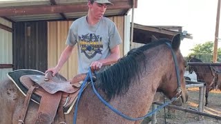 Horse Training  First Ride First Mount [upl. by Adieren]