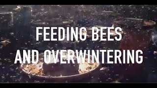 Feeding Bees and Overwintering [upl. by Neelav]