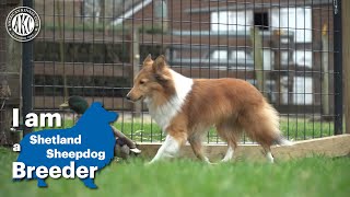 I am a Shetland Sheepdog breeder [upl. by Einaeg31]