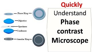 Phase contrast microscope [upl. by Sdlonyer]