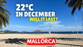 April Weather in DECEMBER  Mallorca Today [upl. by Asiuol]