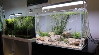 River Bottom Aquascape Tutorial  Easy Aquascape added to the Aquarium Gardens Showroom [upl. by Aisek]