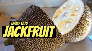 Tasting Jackfruit amp How to Open It [upl. by Gabbey]