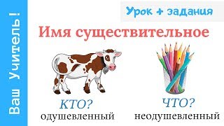 Имя существительное одушевленное и неодушевленное 14 класс [upl. by Klos]