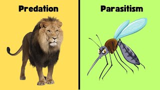 Difference between Predation and Parasitism [upl. by Emina432]