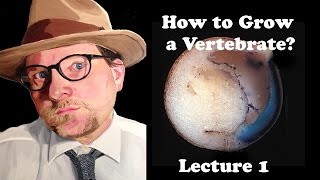 Lecture 1 How to Grow a Vertebrate [upl. by Venus]