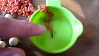 How to test CORAL with Vinegar Genuine Coral vs Fake Coral Jewelry [upl. by Weir]