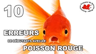 Poisson rouge  10 erreurs de débutant [upl. by Charlene764]