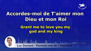 Luc Dumont  Permetsmoi de Texprimer Lyrics [upl. by Neeven]