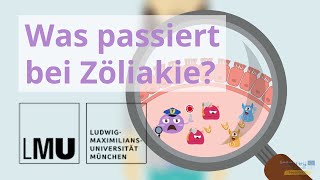 Erklärvideo Zöliakie  Wie entsteht Zöliakie [upl. by Tray]