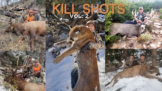 UNREAL HUNTING KILL SHOT COMPILATION Vol 2 [upl. by Hitchcock]