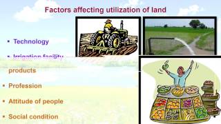 Land Use And Agriculture In India Geography [upl. by Yentruoc364]