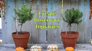 How To Make Easy Rosemary Topiaries super fun [upl. by Aihsemak661]