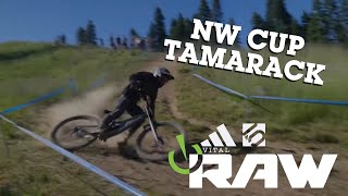 VITAL RAW  NW Cup Tamarack [upl. by Arrek]