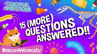 15 More Quick Questions Answered  COLOSSAL QUESTIONS [upl. by Mathew]