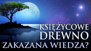 KSIĘŻYCOWE DREWNO  UKRYTA WIEDZA O DRZEWACH I DREWNIE NA NOWO ODKRYTA BaldTV [upl. by Ocsic]