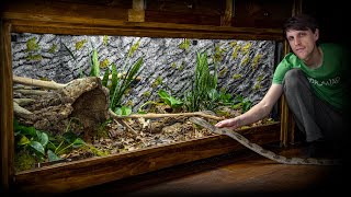 Live Planted Bioactive Kingsnake Vivarium [upl. by Sagerman]