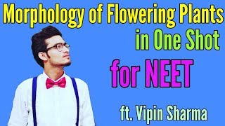 Morphology of Flowering Plants in One Shot Best Video for NEET by Vipin Sharma [upl. by Mccarty]