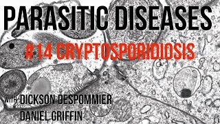 Parasitic Diseases Lectures 14 Cryptosporidiosis [upl. by Odab]