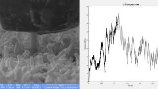 A CloseUp View of LithiumMetal Dendrites [upl. by Weiser]