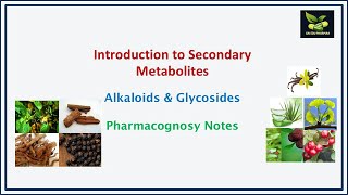 Introduction to Secondary Metabolites Alkaloids amp Glycosides saiedupharmaa [upl. by Ottillia53]