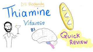 Vitamin B1  Thiamine  Quick Review  Sources Functions Deficiency Treatment [upl. by Holli]