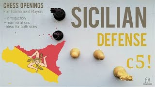 Sicilian Defense introduction ideas amp variations ⎸Chess Openings [upl. by Leoine]