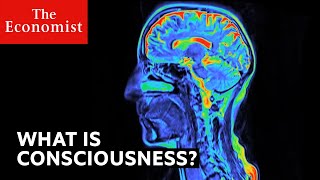 What is consciousness [upl. by Frohman]