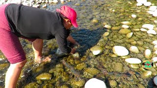 MIRA ASÍ PESCA ESTA MUJER CAMARONES GRANDES EN RÍO Utilizando Las Manos [upl. by Loren224]