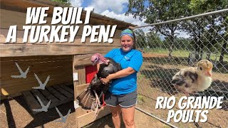 Building A Turkey Pen Turkey Coop and Run Is Ready For Our Growing Rio Grande Turkey Poults [upl. by Eddina]