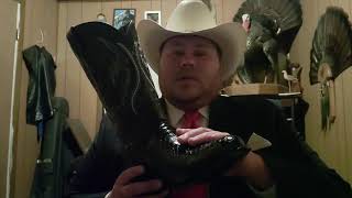 JB Dillon High Noon Black Snakeskin Cowboy Boots Review [upl. by Leen]