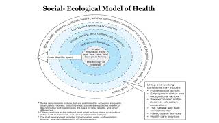 Social Ecological Model [upl. by Maffa]