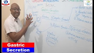 Gastrointestinal Secretion – 2 Gastric Secretion [upl. by Dranoc]