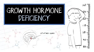 What is Growth Hormone Deficiency GHD [upl. by Anihsit199]