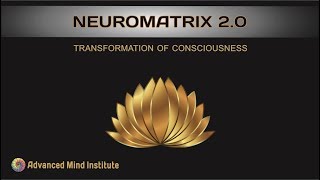 Neuromatrix 20 Transforming the Subconscious Mind [upl. by Trebuh]