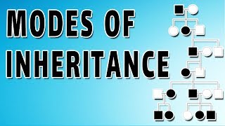 CBSE Class 12 Biology  Principles of Inheritance and Variation Part 1  Full Chapter [upl. by Attenor453]