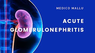 AGN  Acute Glomerulonephritis  Acute Nephritic Syndrome [upl. by Ozzy]