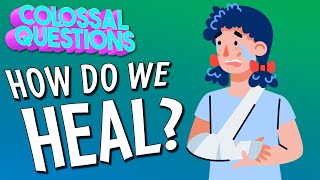 How Do We Heal  COLOSSAL QUESTIONS [upl. by Herman]