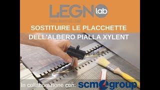 Legno Lab Albero pialla Xylent SCM [upl. by Tome864]