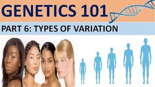 GENETICS 101 Part 6 Types of VariationCXC Biology Tutor [upl. by Etnomaj]